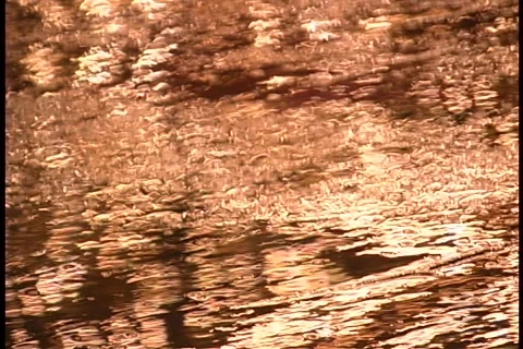 Reflection of lights Stock Footage 109166