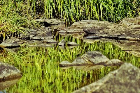 Reflection of lush green grass on a Stream at Kuruwa island Stock Photos