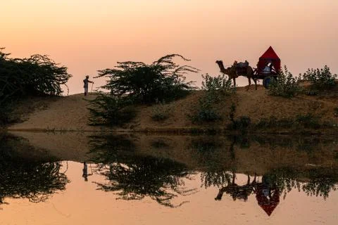 Reflection of a man and a camel at pushkar festival. Stock Photos