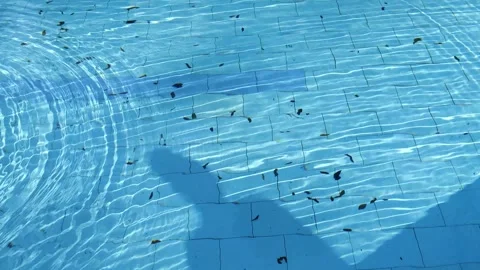Reflection of a man with cap from a pool 스톡 동영상 277336362