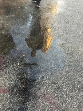 Reflection of a man in front of Flatiron Building Stock Photos