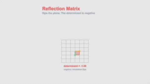 Reflection Matrix Labeled Linear Algebra Animation Animation Alpha 4K Stock Footage 339726987
