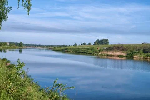 Reflection of meadow in still river at summer Stock Photos