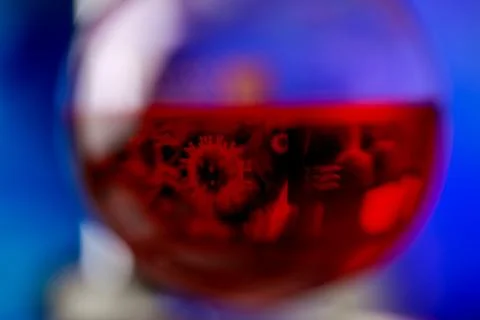 Reflection of microbe from computer screen in red reagent solution inside c.. Stock Photos