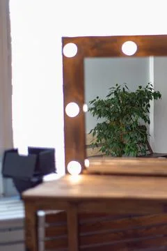 Reflection in a mirror with light bulbs of a green houseplant Stock Photos