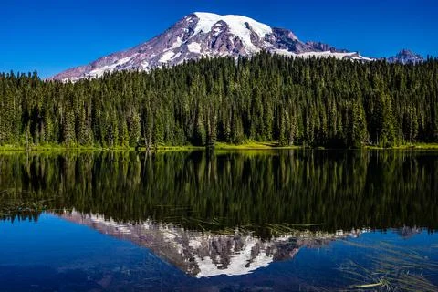 Reflection - Mount Rainier National Park Stock Photos