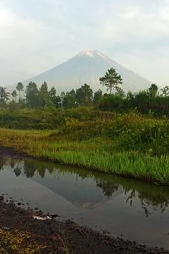 The reflection of Mount Semeru on a puddle.  Stock Photos