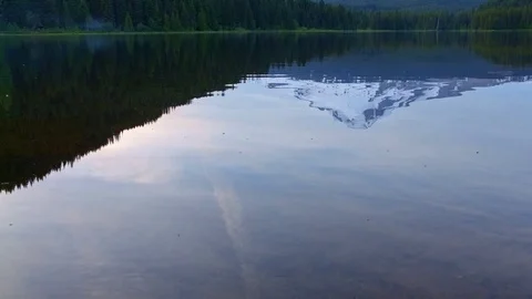 Reflection of mountain on forest lake Trillium Lake at Sunset Mt. Hood Stock Footage 81854336