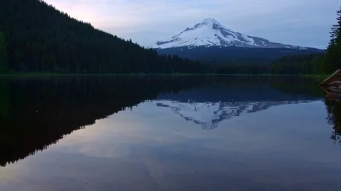Reflection of mountain on forest lake Trillium Lake at Sunset Mt. Hood Video stock 81854778