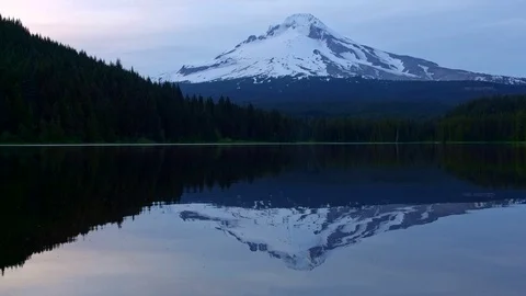 Reflection of mountain on forest lake Trillium Lake at Sunset Mt. Hood Stock-Footage 81856401