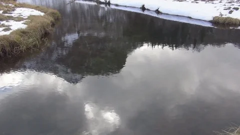 Reflection of mountains and forest in a mountain river Stock-Footage 70935953