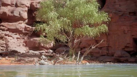 The reflection of the mountains in the River Stockillustratie