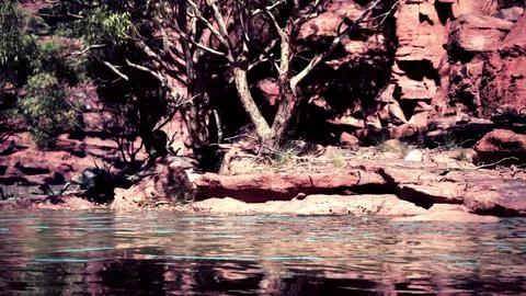 The reflection of the mountains in the River Stock Illustration