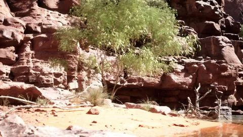 The reflection of the mountains in the River Stock Illustration