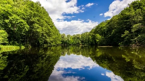 Reflection of moving clouds in a lake in the middle of a picturesque forest 動画素材 77267355