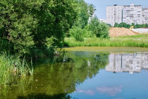 Reflection of multi-storey buildings in the pond Stock Photos