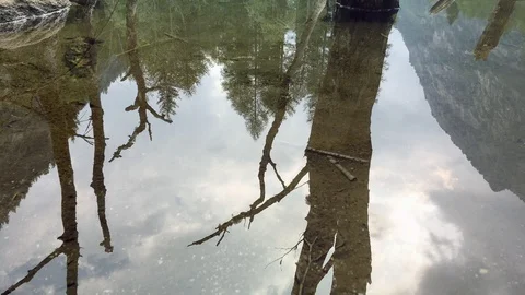 Reflection of nature in a lake Stock Footage 119018690