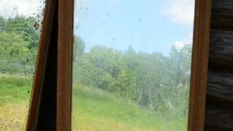 Reflection of nature in old mirrors Stock Footage 117112521