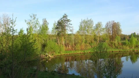 Reflection of nature in the river Vídeos de archivo 274201132