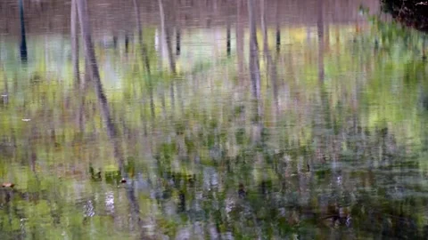 Reflection over water. Abstract background of forest trees reflected in river. Stockbeeldmateriaal 140649089