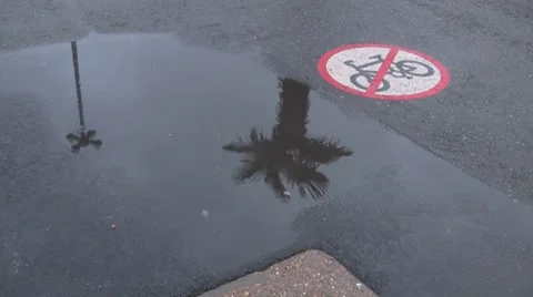 Reflection of palm tree in puddle no cycling sign Stock Footage 7168592