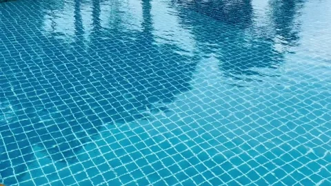 Reflection of palm trees and blue water swimming pool Видео 341176677