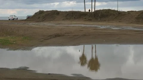 Reflection of palm trees and sky in puddle on sandy shore. Video stock 317911075