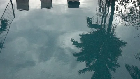 Reflection Of Palm Trees In Water In Pool [Slow Motion] Stock Footage 89876273