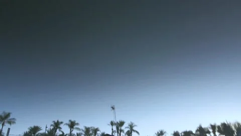 The reflection of the palm trees on the water at sunset Stock Footage 228183347