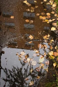 Reflection of the panel house in the puddle. Stock Photos
