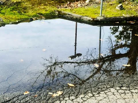 Reflection in a parking lot puddle Stock Photos