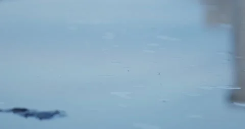 Reflection of People on Puddle during Daytime. Stock Footage 155657217