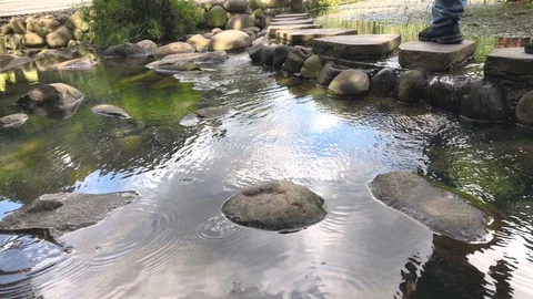 Reflection of People Walk Crossing on Stone Pond Stock-Footage 107459422