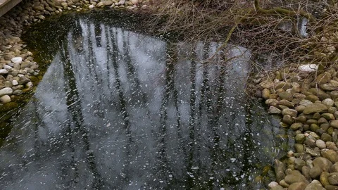 Reflection of people walking on a small pond Stock Footage 97950366