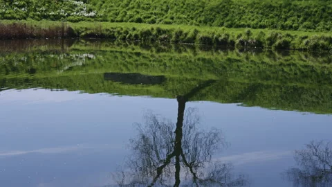 Reflection of Person and Tree in Water Below Fortress Wall Stock Footage 309455920