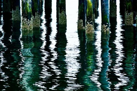 Reflection Stock Photos