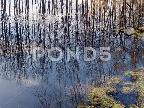 Reflection 写真素材