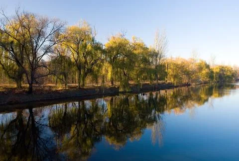 Reflection Stock Photos
