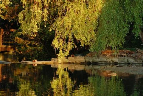 Reflection Stock Photos