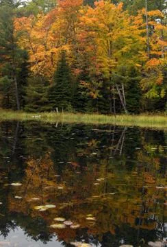 Reflection Foto stock