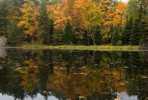 Reflection Stock Photos