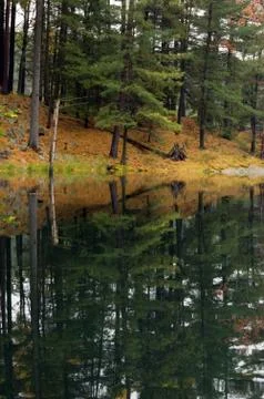 Reflection Stock Photos