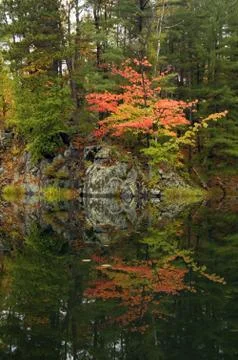 Reflection Stock Photos