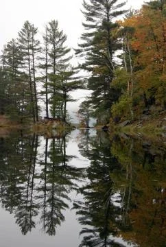 Reflection Stock Photos