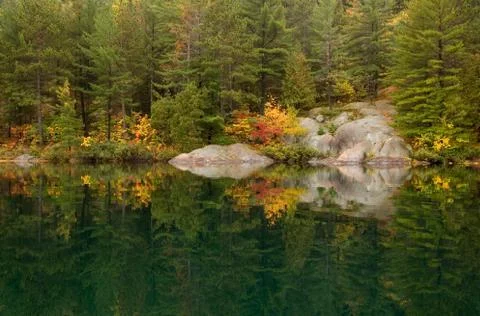 Reflection Stock Photos