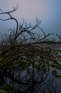 Reflection. Stock Photos