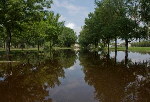 Reflection Stock Photos