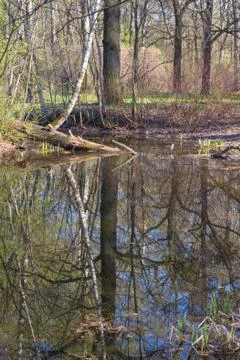 Reflection Stock Photos