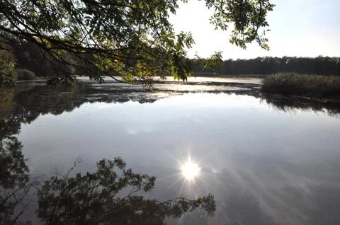 Reflection Stock Photos