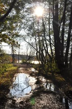 Reflection Stock Photos